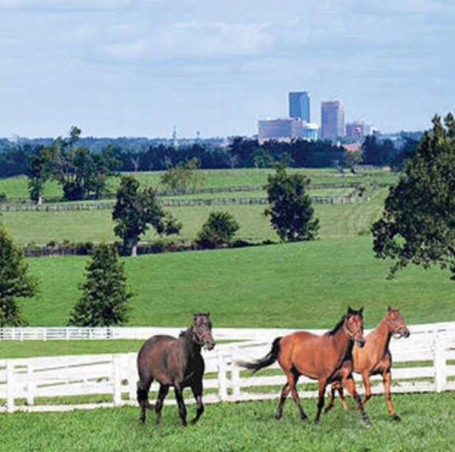 Lexington Kentucky