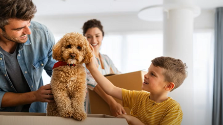 How to prepare pets for moving